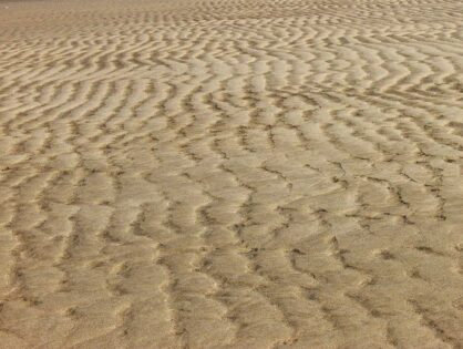 Пескоразбрасыватели «Комдор» - приобретение техники на выгодных условиях